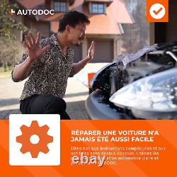 DIEDERICHS Passage de roue 9335032 arrière droite pour OPEL Vivaro A Combi (X83)