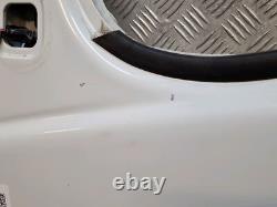 Porte avant gauche Opel Vivaro / Renault Trafic II de 2001 à 2014 D31