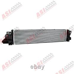 Pour VAUXHALL VIVARO RENAULT TRAFIC FIAT TALENTO NV300 1.6 diesel. Intercooler