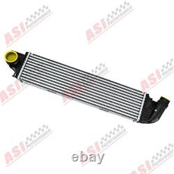 Pour VAUXHALL VIVARO RENAULT TRAFIC FIAT TALENTO NV300 1.6 diesel. Intercooler
