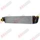 Refroidisseur Interm&eacute;diaire Pour Vauxhall Vivaro Renault Trafic Fiat Talento Fr