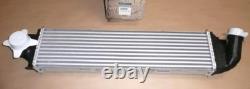 Renault Trafic III Opel Vivaro B 1.6 DCI CDTI Intercooler Original 144962019R
